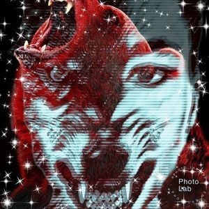 Meet your Posher, Silas